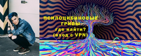 эйфоретик Яранск