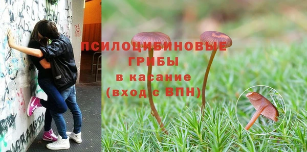 MDMA Алексеевка